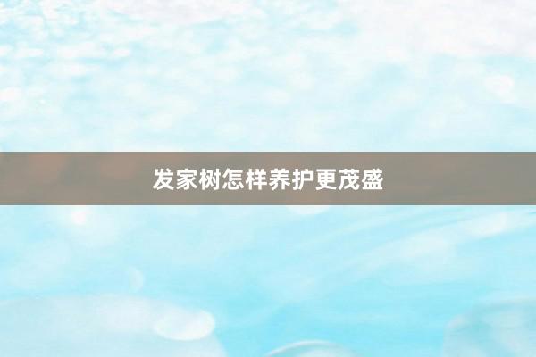 发家树怎样养护更茂盛