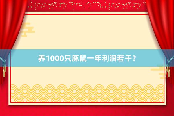 养1000只豚鼠一年利润若干？