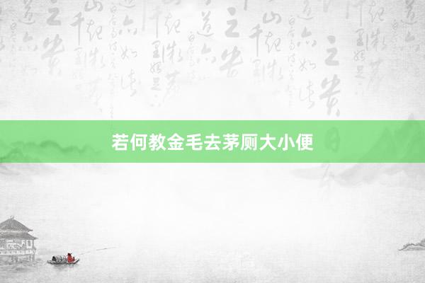 若何教金毛去茅厕大小便